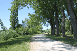 circuit de randonnee bordeaux DELTA VERT - CIRCUIT