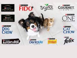 boutiques nestle lille Nestlé Purina Petcare France SAS