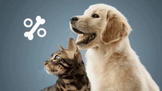 boutiques nestle lille Nestlé Purina Petcare France SAS