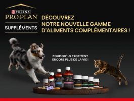 boutiques nestle lille Nestlé Purina Petcare France SAS