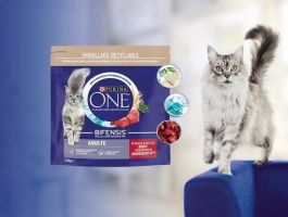 boutiques nestle lille Nestlé Purina Petcare France SAS