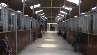 centre equestre lille Écurie Magne