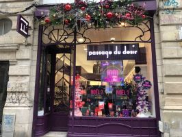 boutique erotique lille Passage du Désir, l'anti sex shop