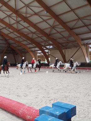 terrain d equitation montpellier Equitation St Georges D'Orques