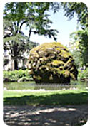 arboretum montpellier Square Planchon