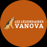 eleveur de chiens montpellier Les Légendaires Vanova