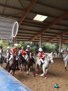 terrain d equitation montpellier Equitation St Georges D'Orques