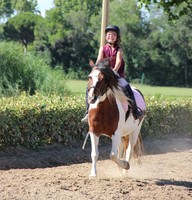 centre de randonnee equestre montpellier Ecole d'Equitation Saint-Pierre