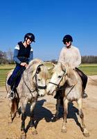 centre de randonnee equestre montpellier Ecole d'Equitation Saint-Pierre