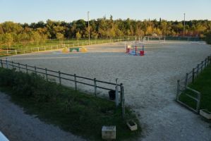 entraineur de chevaux montpellier VICT'HORSES