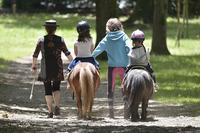 centre equestre montpellier Ecole d'Equitation Saint-Pierre