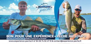 club de peche montpellier Experience pêche