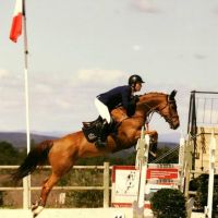 entraineur de chevaux montpellier VICT'HORSES