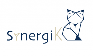 Logo SynergiK Formation - IMS