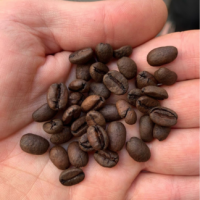 Ethiopie Sidamo, Kebele – Décaféiné Bio – voie Humide