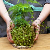 magasin de plantes artificielles montpellier Jardinerie Truffaut Mauguio