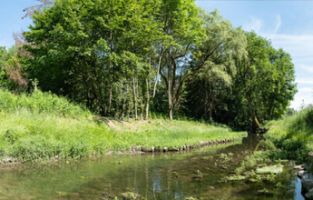 boutiques nestle montpellier Perrier Nestlé Waters Supply Sud