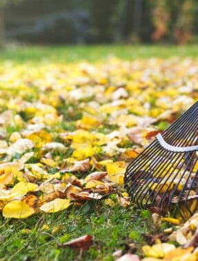 service d entretien de pelouse montpellier Au Jardin d'Oc - Maxime Bochet Jardinier Paysagiste à Montpellier