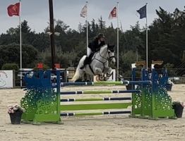 entraineur de chevaux montpellier VICT'HORSES