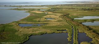 Nature - copyright-Frederic-Larrey-Conservatoire-du-Littoral