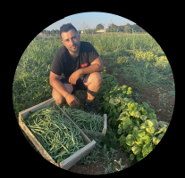 vente de legumes en gros montpellier Les Jardins de Dylan - Magasin fruits et légumes Bio