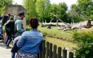 parc animalier nantes Zoo de La Boissière du Doré