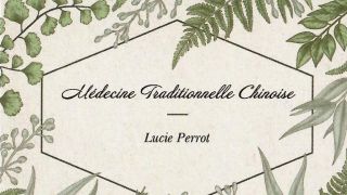 centre d acupuncture nantes Médecine Traditionnelle Chinoise - Lucie Perrot - Nantes