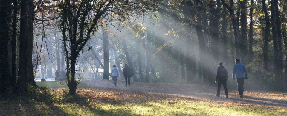 clinique du sommeil nantes Clinique Psychiatrique du Parc