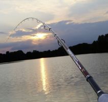 magasin d appats de peche nantes Le Pêcheur du Pays de Retz