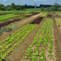 fournisseur de materiel agricole nantes A.m.d.s