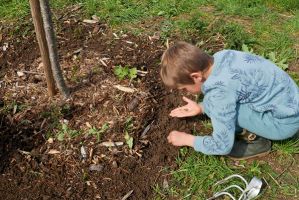 jardin communautaire nantes Le Jardin des Ronces