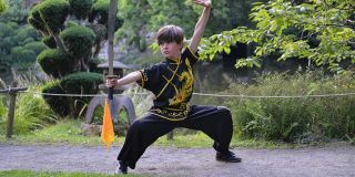 cours de chinois nantes KUNG FU CLUB NANTAIS