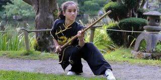 cours de chinois nantes KUNG FU CLUB NANTAIS