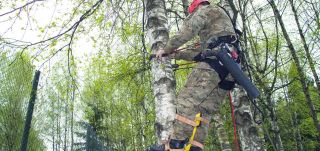 service d elagage nantes Grandeur Nature