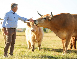 fabricant de fromage nantes Fromagerie Beillevaire Nantes Contrescarpe