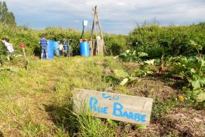 jardin communautaire nantes Le Jardin des Ronces