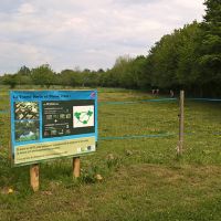 Balade à poney et pension