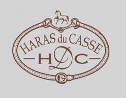 eleveur de chevaux rennes Haras Du Casse