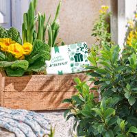 magasin de plantes artificielles rennes Jardinerie Truffaut Pacé