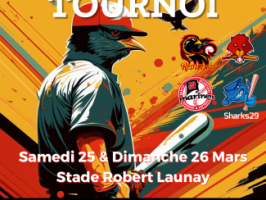 terrain de baseball rennes Redwings Baseball & Softball Club de Rennes