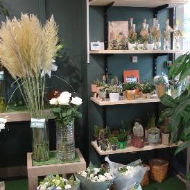 magasin de fleurs sechees rennes Le Jardin des Fleurs