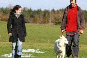 dresseur pour chiens rennes CaniGuide