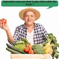 vente de legumes en gros rennes Amis de la Ferme