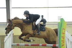 entraineur de chevaux rennes ECURIE D'OSSELIERE