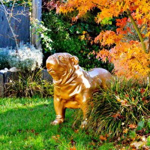 jardinier rennes Désiles Paysage