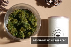 boutique erotique rennes Le Chanvrier Français - CBD Rennes