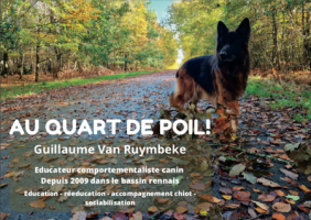 dresseur pour chiens rennes Au quart de poil ! Guillaume Van Ruymbeke - éducation et rééducation canine, comportement canin