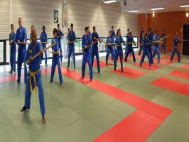 ecole de karate rennes Tout Rennes Au Dojo