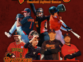 club de billard rennes Redwings Baseball & Softball Club de Rennes