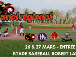 club de billard rennes Redwings Baseball & Softball Club de Rennes